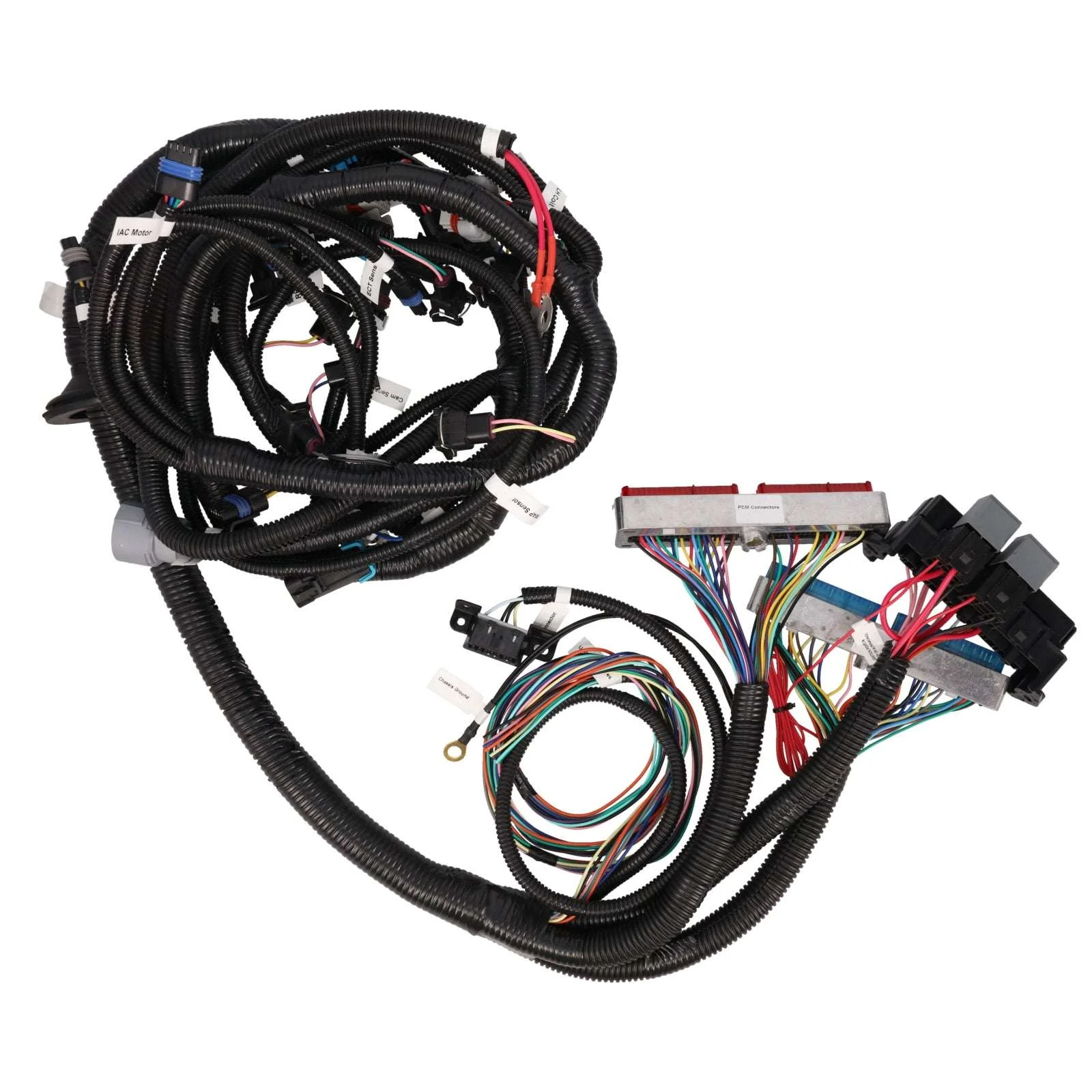 GM LS1 Drive by Cable Engine and 4L60E Transmission Standalone Wiring Harness - Image 3