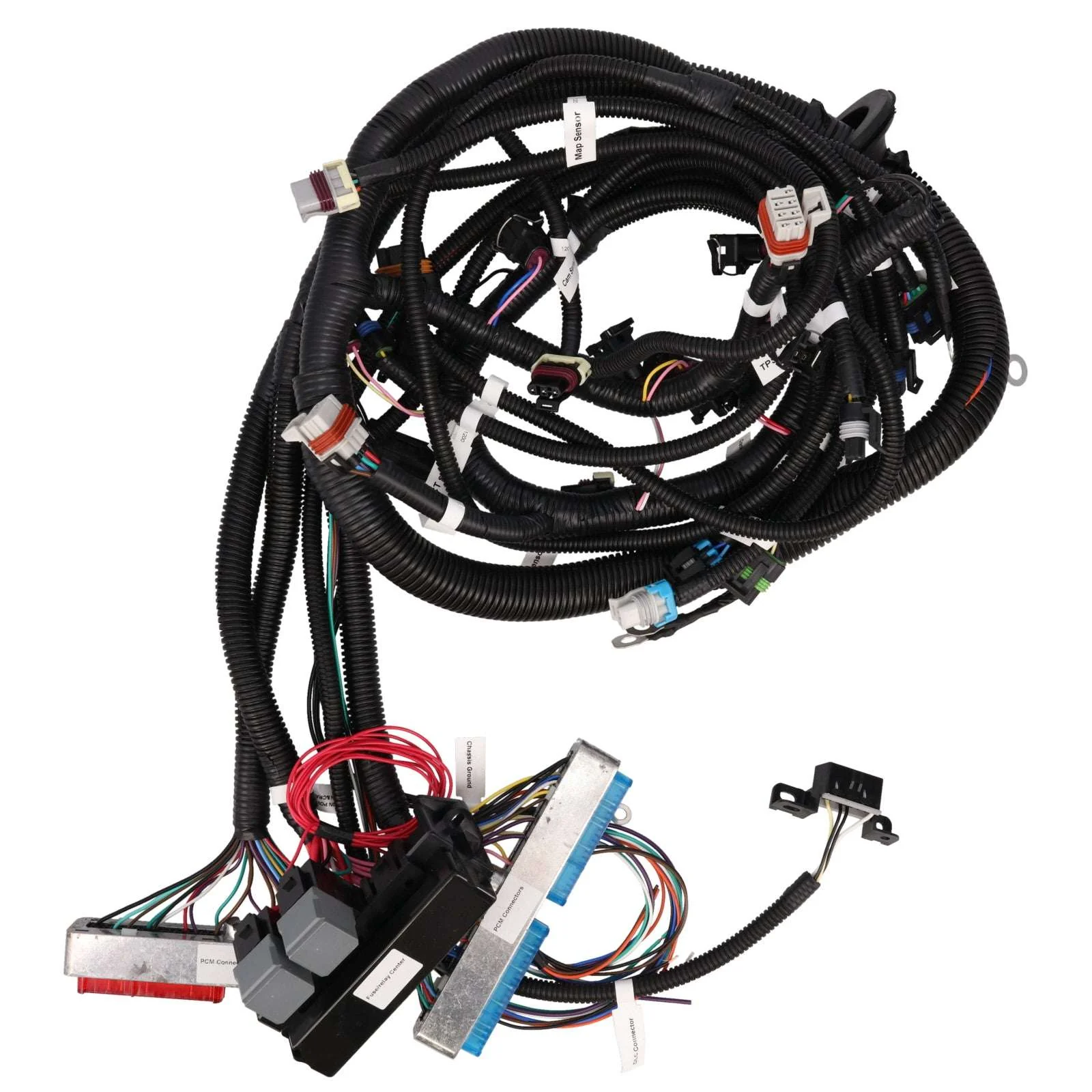GM Standalone LS1 Drive by Cable Engine and T56 Manual Transmission Wiring Harness - Image 2